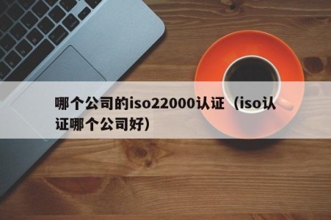 哪个公司的iso22000认证（iso认证哪个公司好）