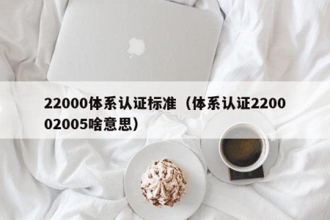 22000体系认证标准（体系认证220002005啥意思）