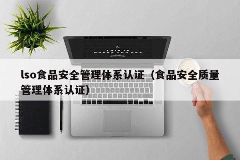 lso食品安全管理体系认证（食品安全质量管理体系认证）
