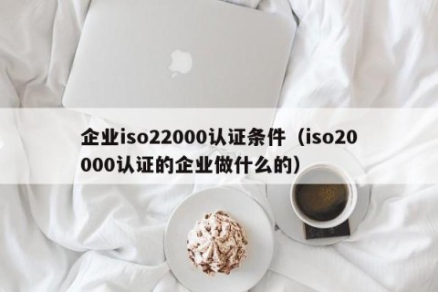 企业iso22000认证条件（iso20000认证的企业做什么的）