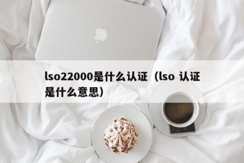 lso22000是什么认证（lso 认证是什么意思）