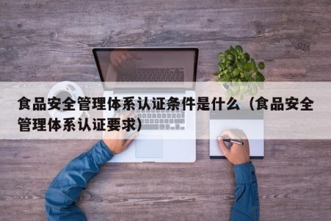 食品安全管理体系认证条件是什么（食品安全管理体系认证要求）