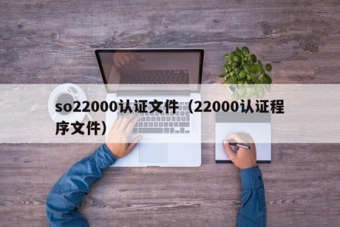 so22000认证文件（22000认证程序文件）