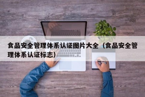 食品安全管理体系认证图片大全（食品安全管理体系认证标志）