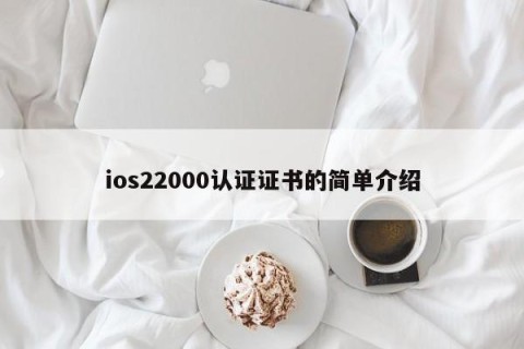 ios22000认证证书的简单介绍